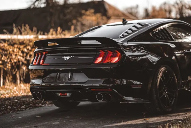 PlaySunny Casino Aplicación Android/iOS